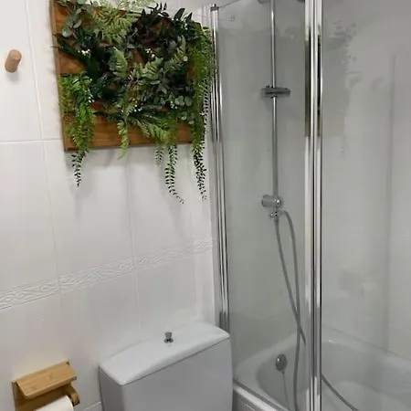 Apartment Oasis